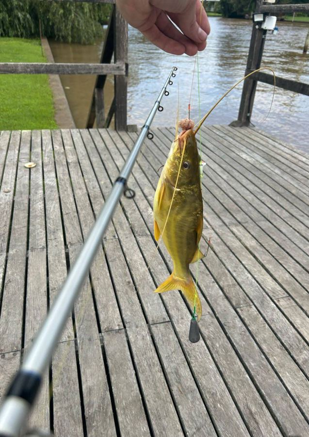 Pesca desde el muelle