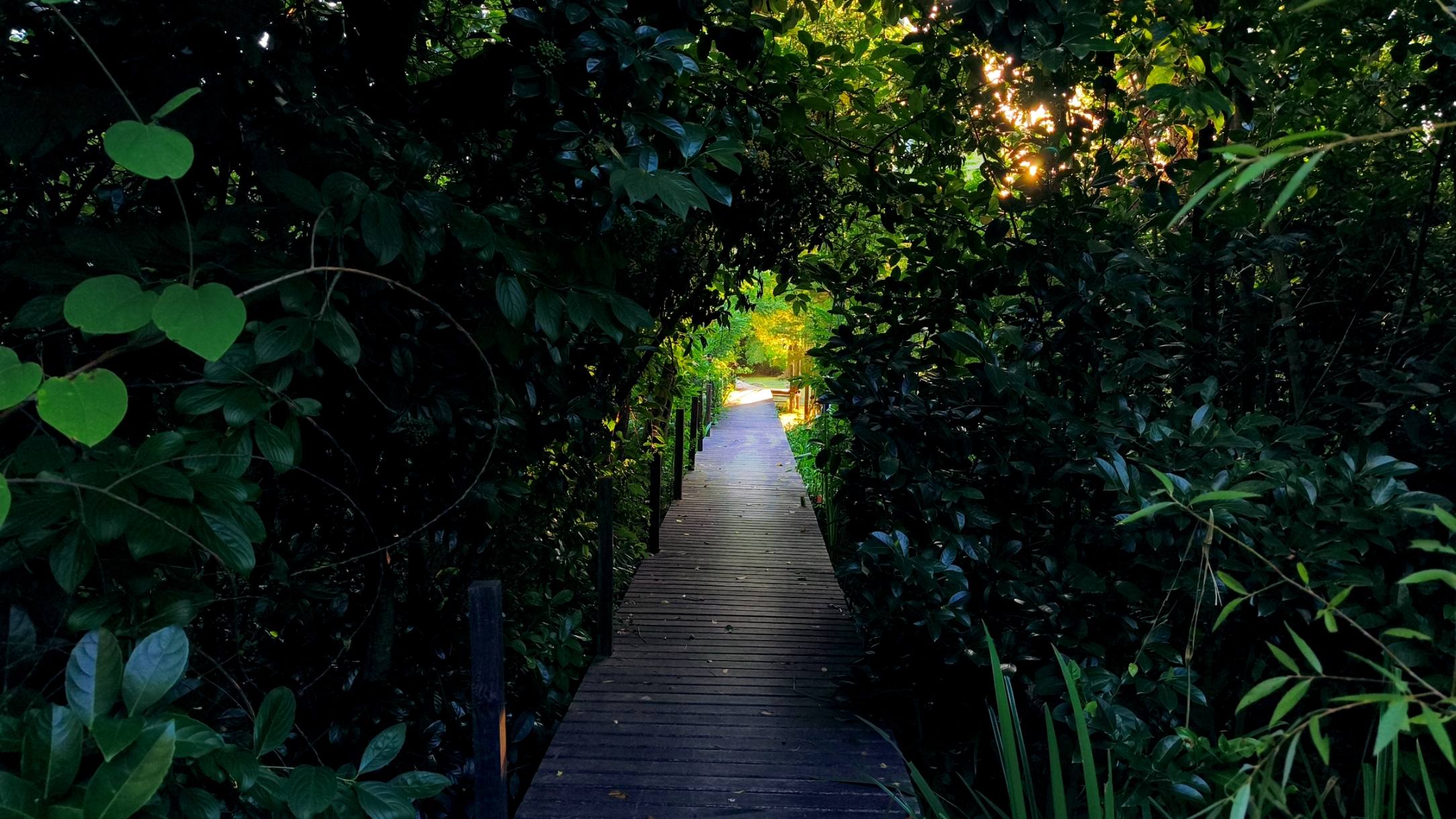 Sendero de noche