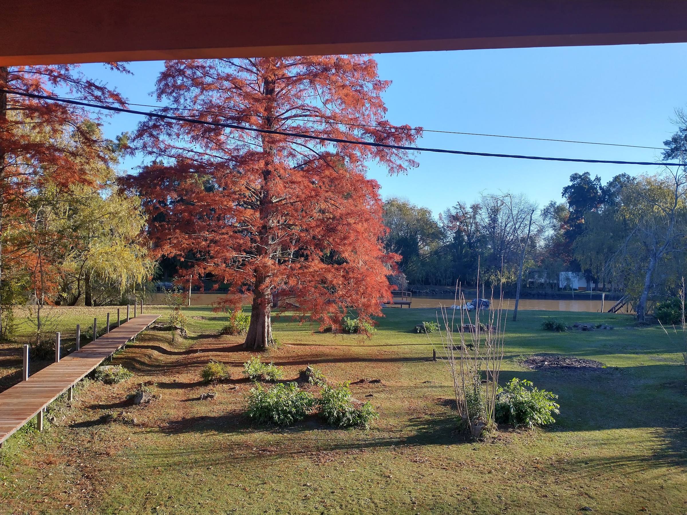 Parque en otoño