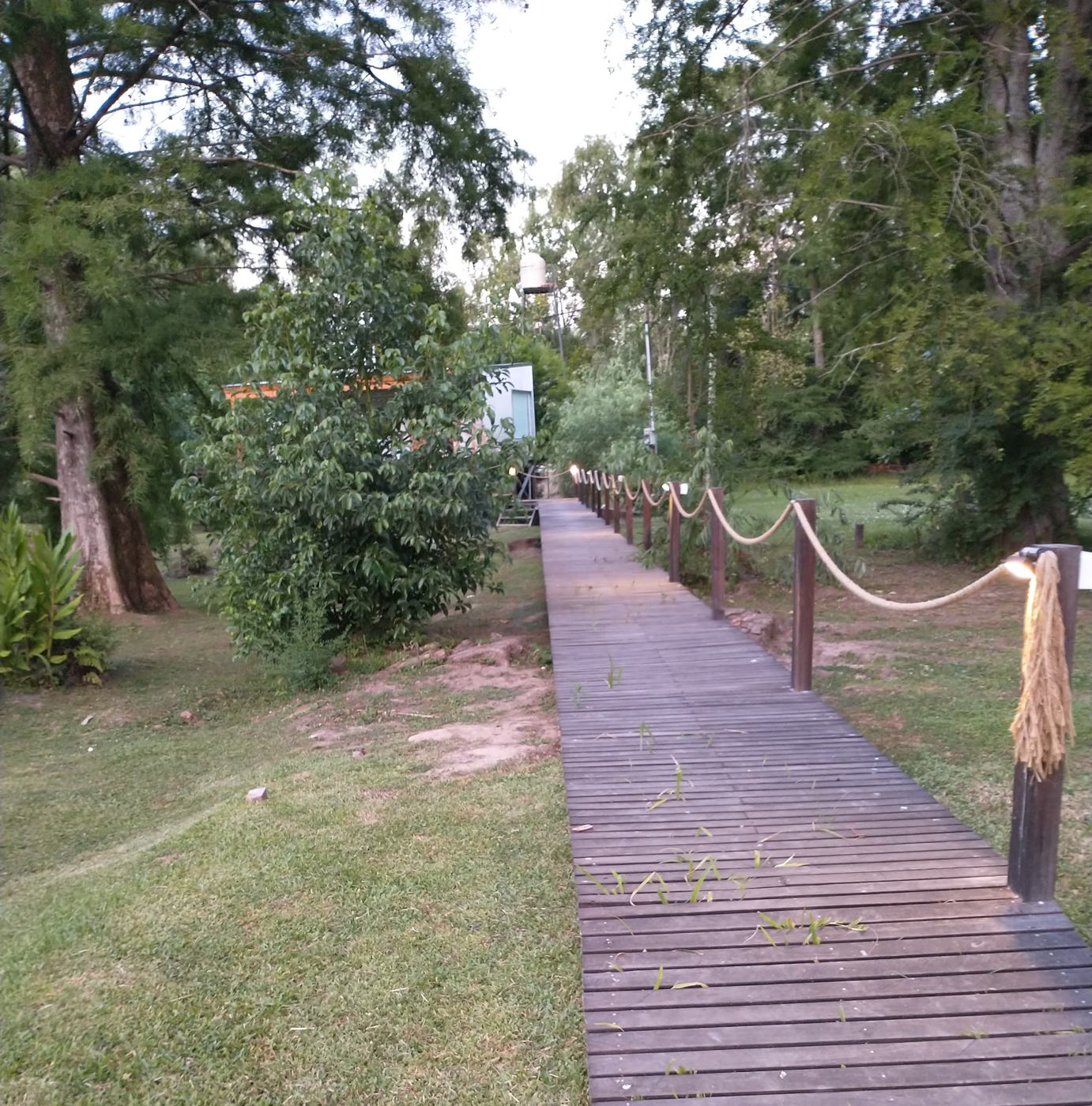 Pasarela de madera entre los árboles